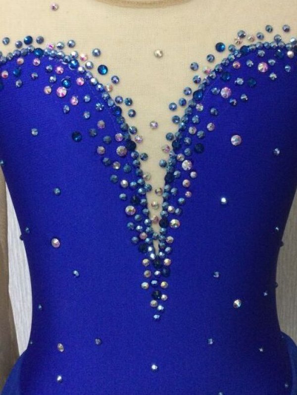 画像6: プリンセスドレス・花モチーフロングスリーブ（ロイヤルブルー） (6)